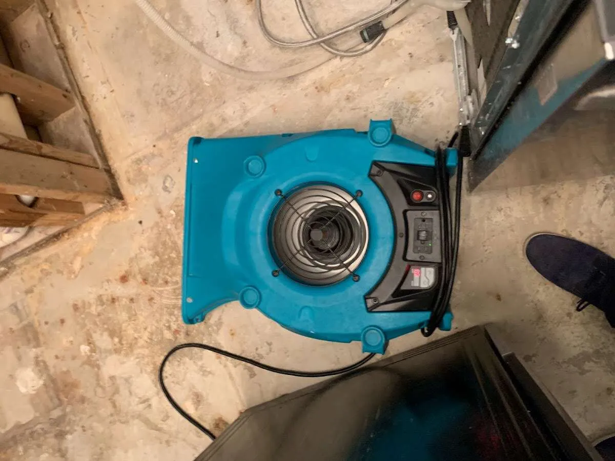 Air mover drying equipment for Mold Remediation & Removal in Walpole