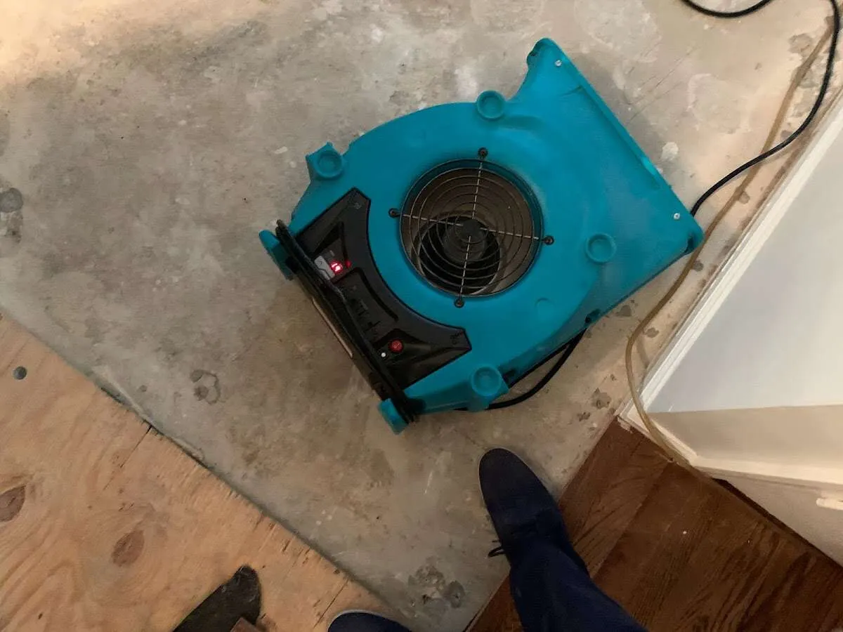Air mover drying subfloor during Commercial Water Damage Restoration in Walpole